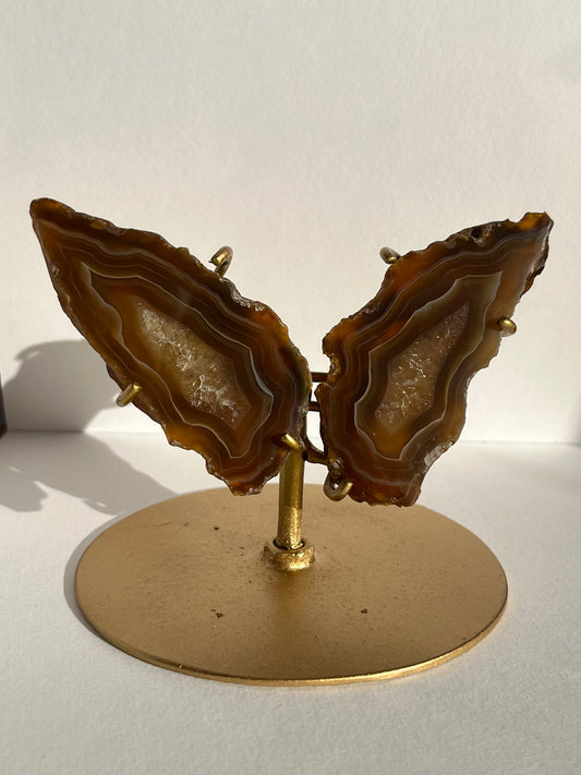 “Plasma Waves” Banded Coffee Agate with Quartz Wing Set on Stand