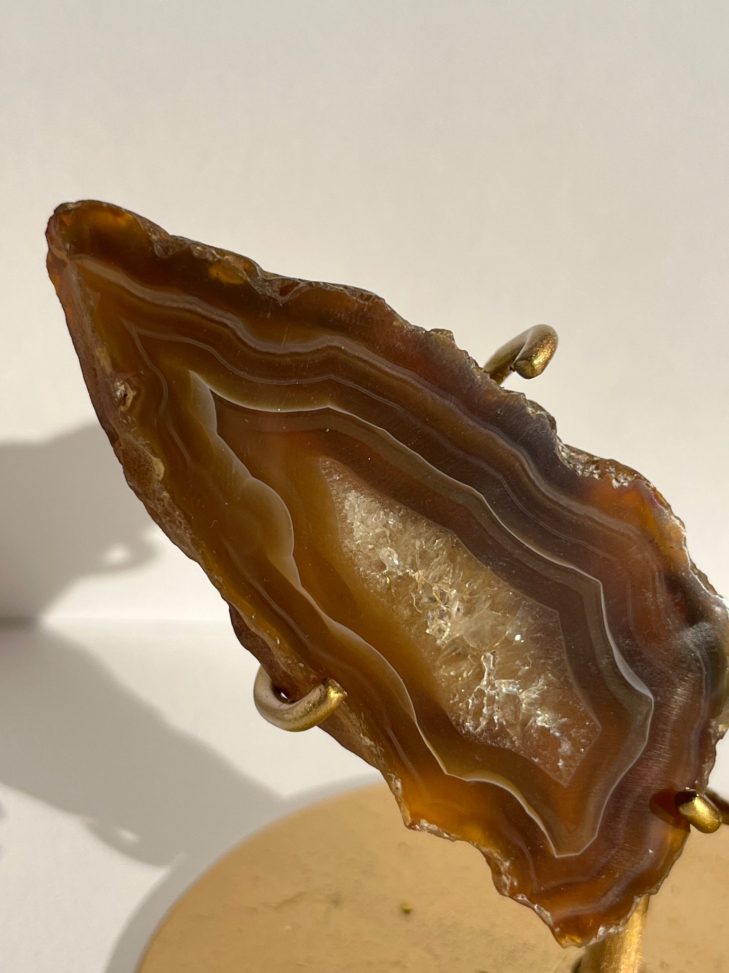 “Plasma Waves” Banded Coffee Agate with Quartz Wing Set on Stand