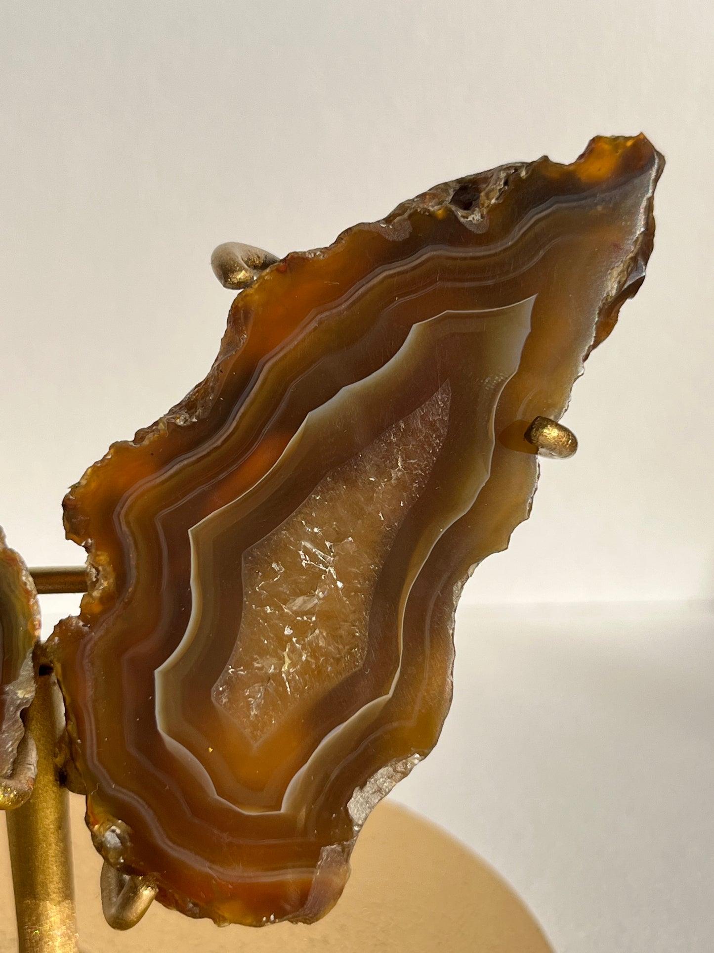 “Plasma Waves” Banded Coffee Agate with Quartz Wing Set on Stand
