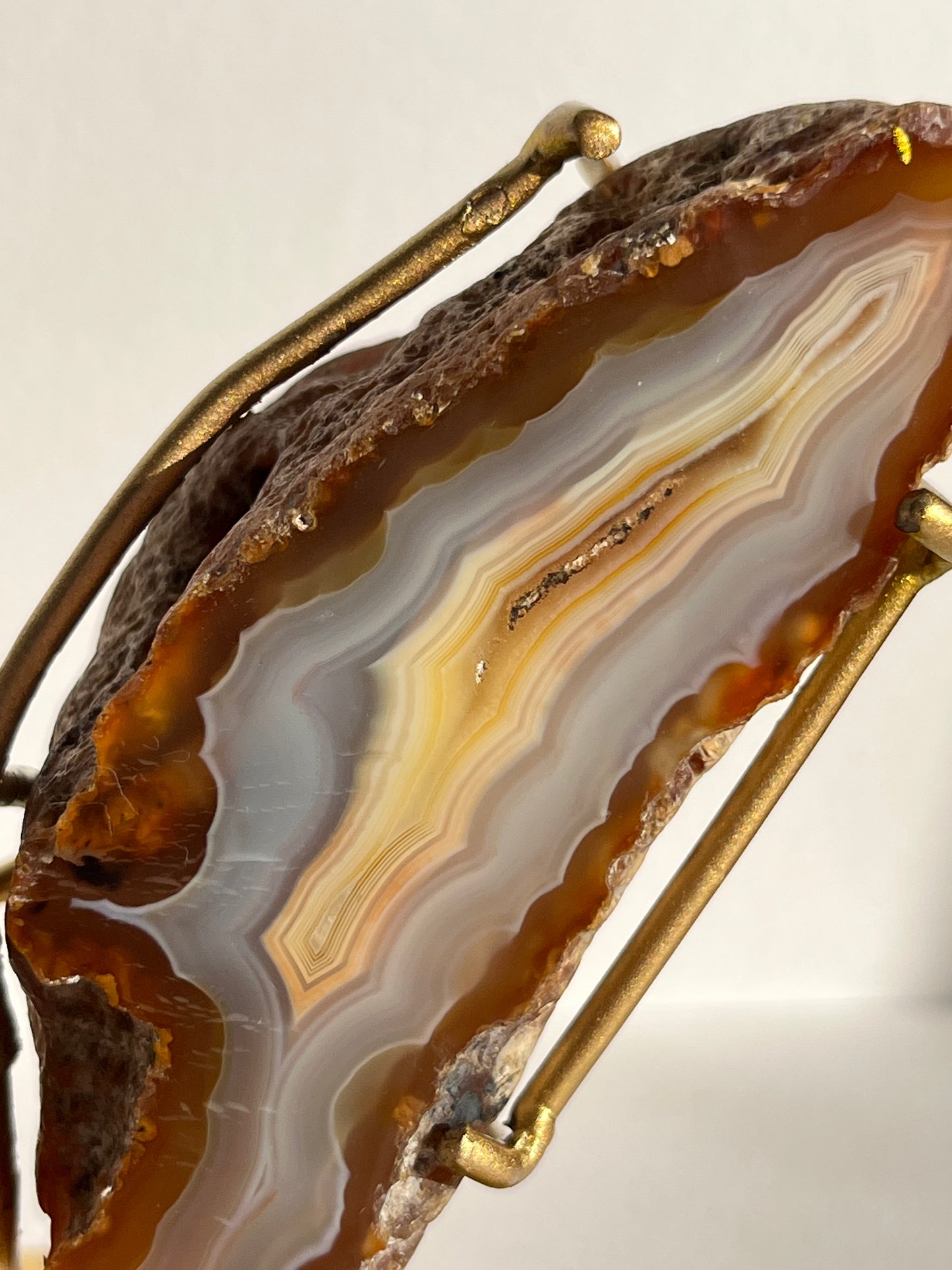 “Vanilla Dreams” Banded Natural Carnelian and Blue Banded Agate Wing Set on Stand