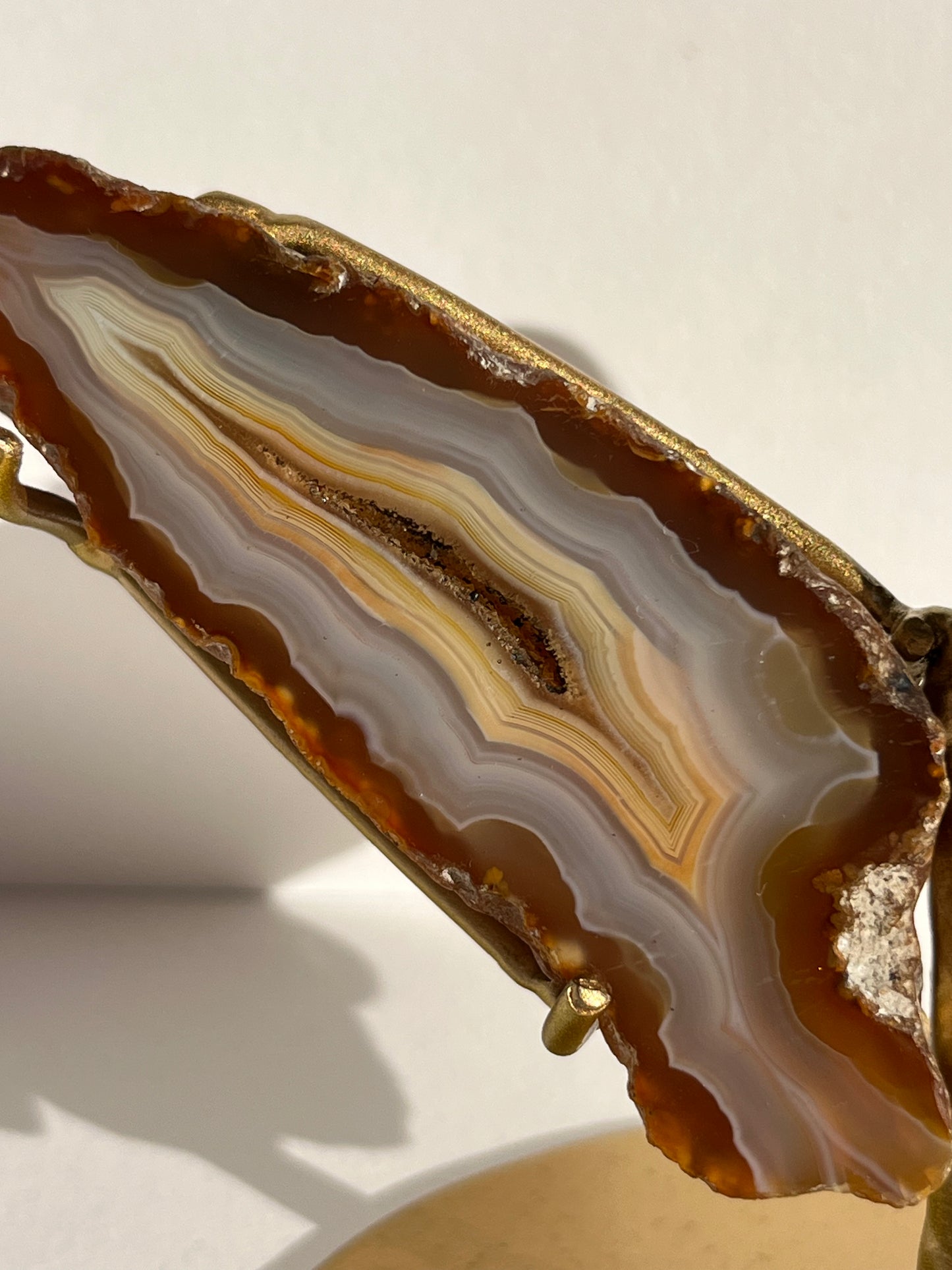 “Vanilla Dreams” Banded Natural Carnelian and Blue Banded Agate Wing Set on Stand