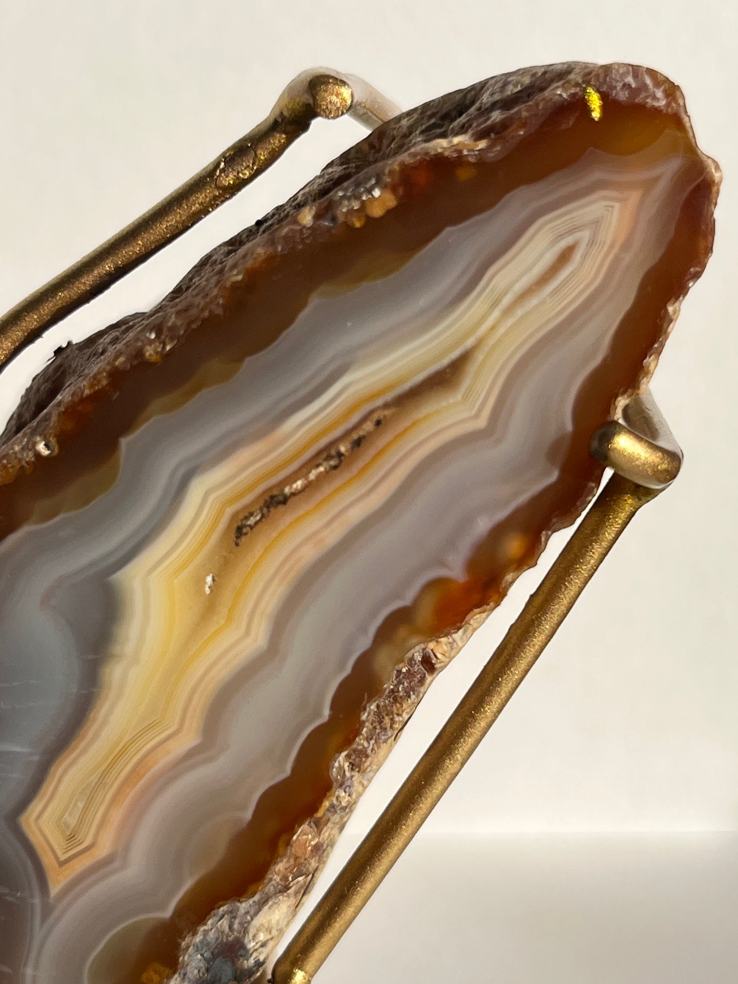 “Vanilla Dreams” Banded Natural Carnelian and Blue Banded Agate Wing Set on Stand