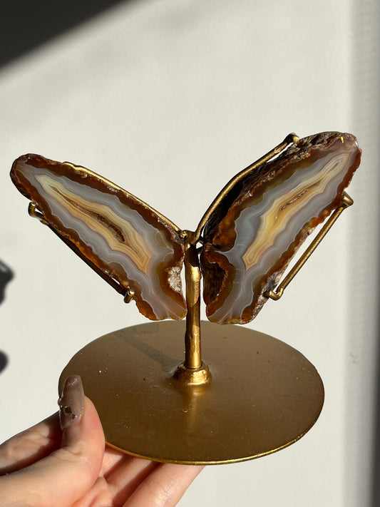 “Vanilla Dreams” Banded Natural Carnelian and Blue Banded Agate Wing Set on Stand