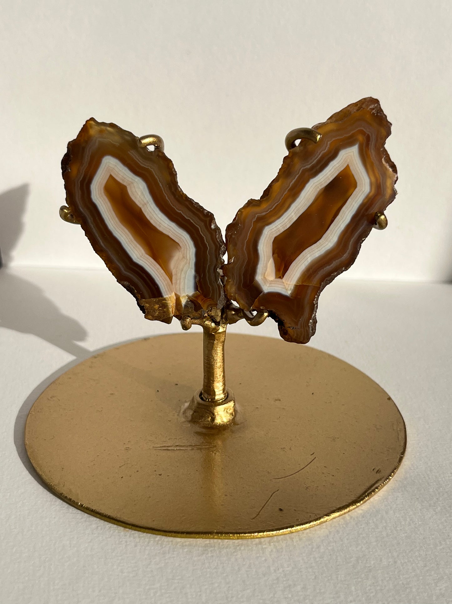 “Neon Glow” Natural Carnelian Agate Wing Set on Stand