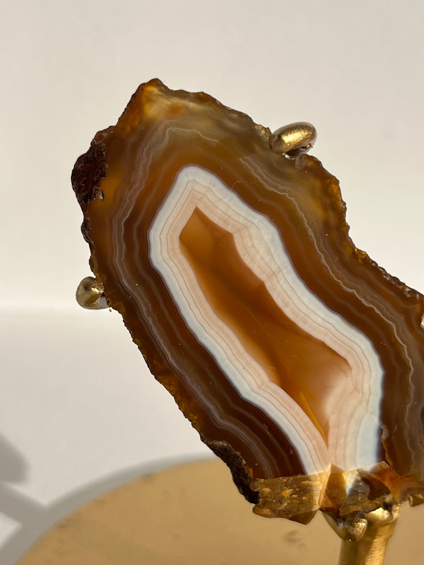 “Neon Glow” Natural Carnelian Agate Wing Set on Stand