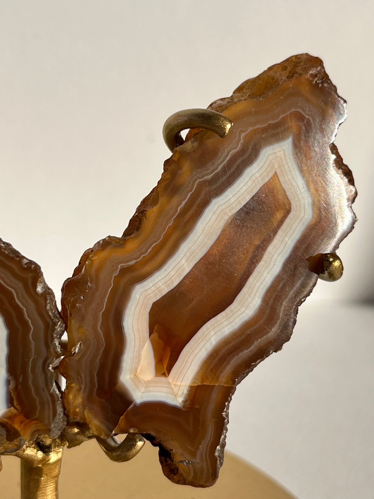 “Neon Glow” Natural Carnelian Agate Wing Set on Stand