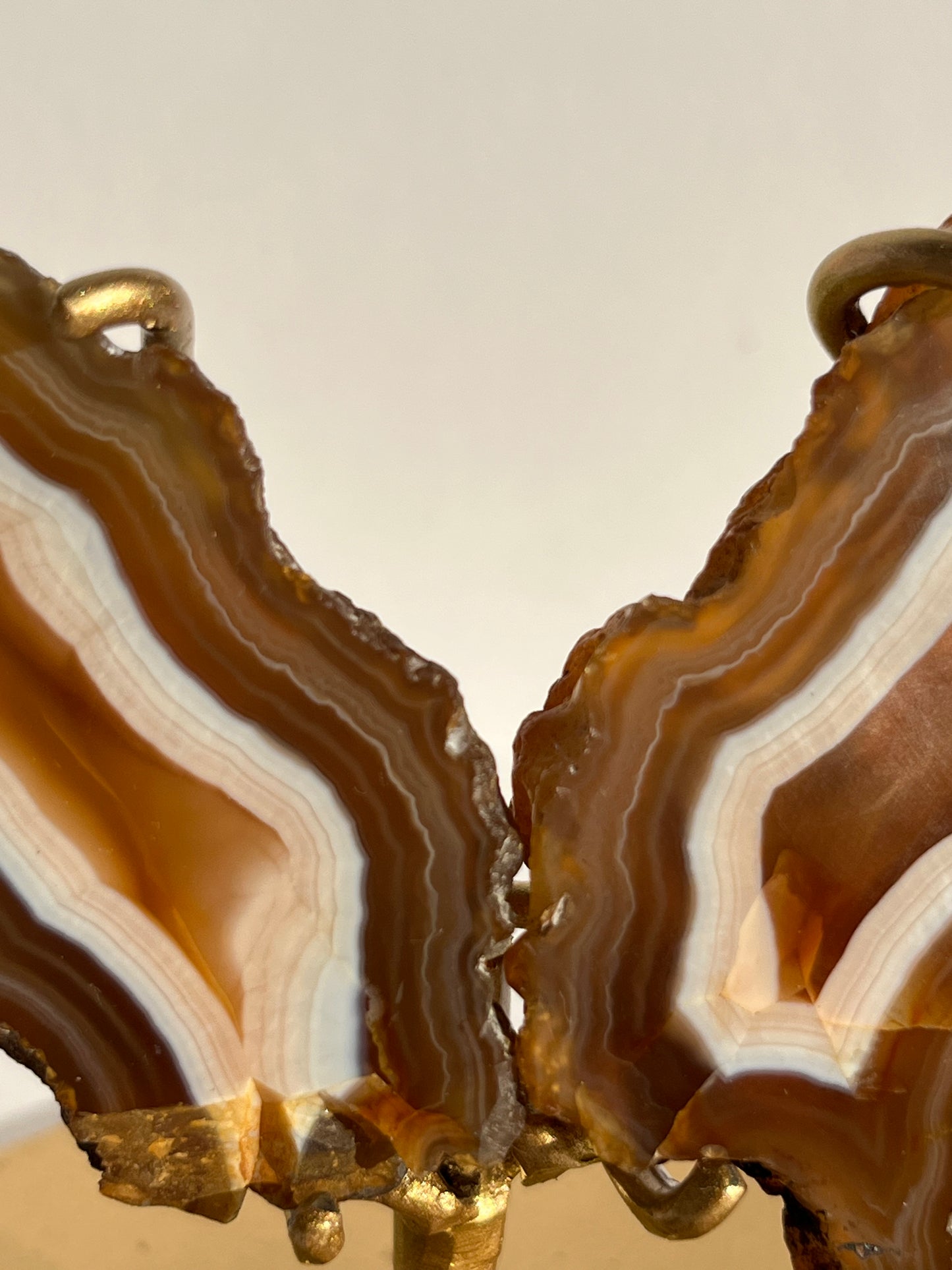 “Neon Glow” Natural Carnelian Agate Wing Set on Stand
