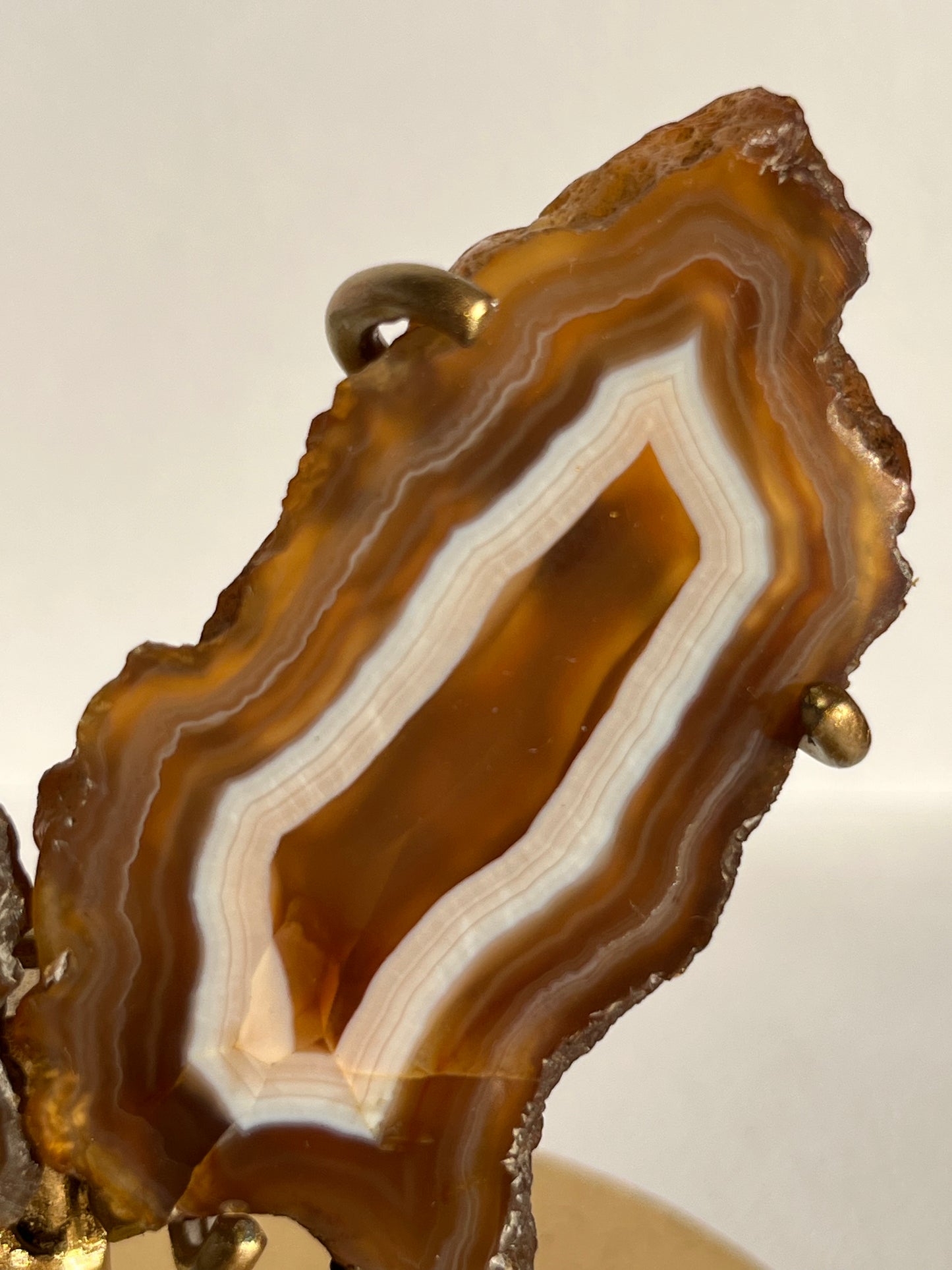 “Neon Glow” Natural Carnelian Agate Wing Set on Stand