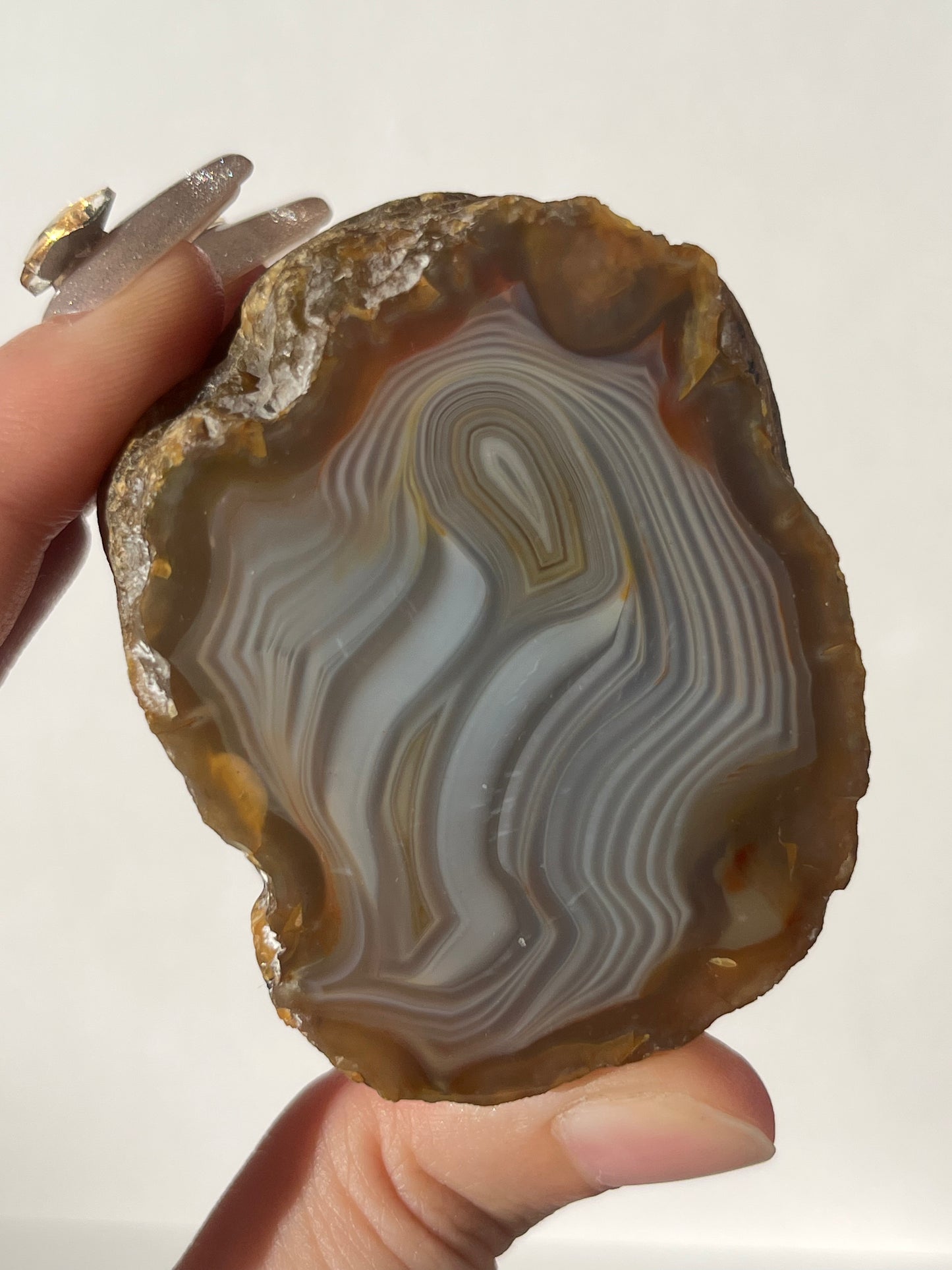 "Silhouette" West Indonesian River Agate with Parallax Effect Pair A (Collector's Choice)