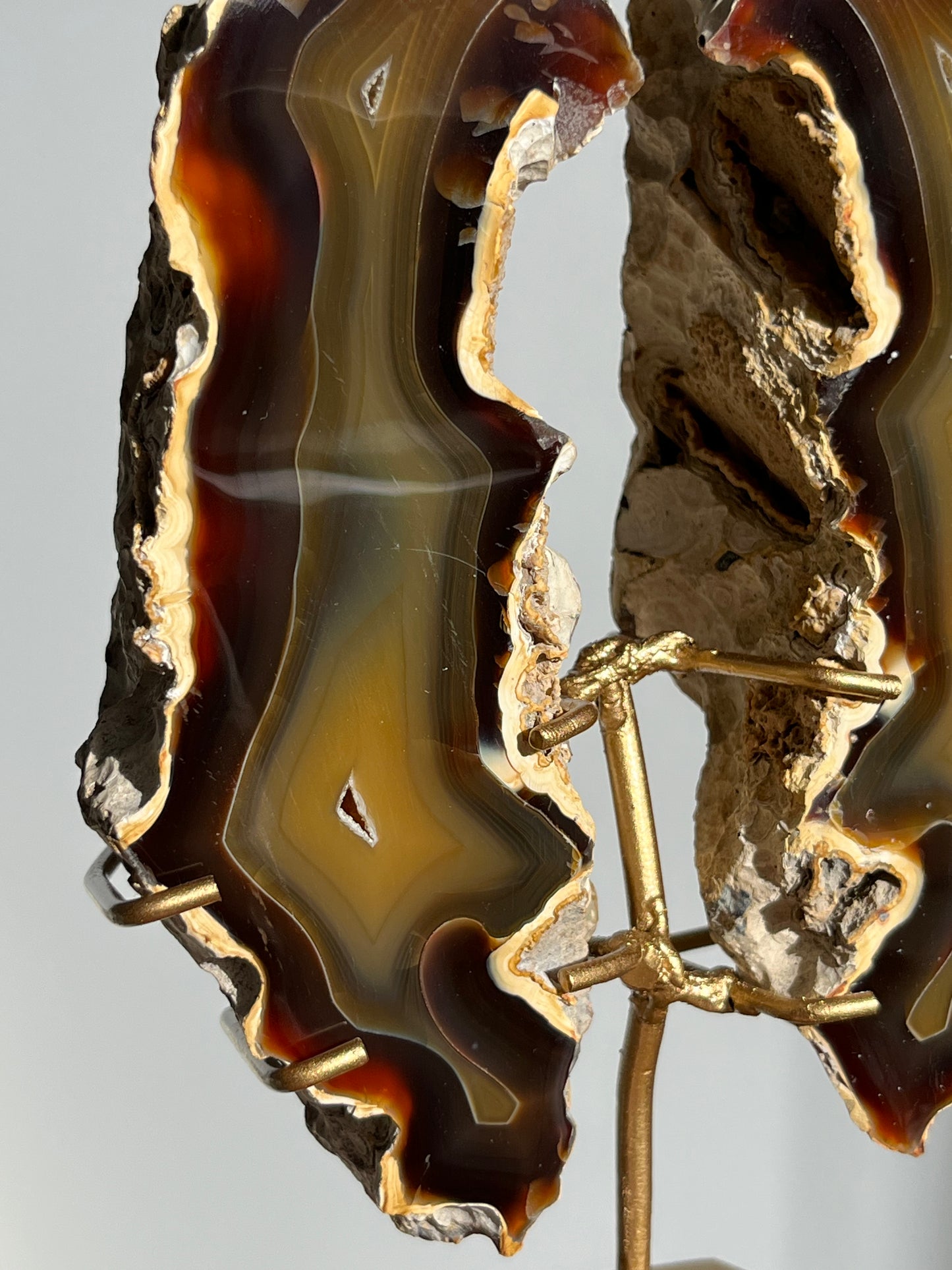 'Wings of Terra' West Indonesian Agate Butterfly Pair on Stand