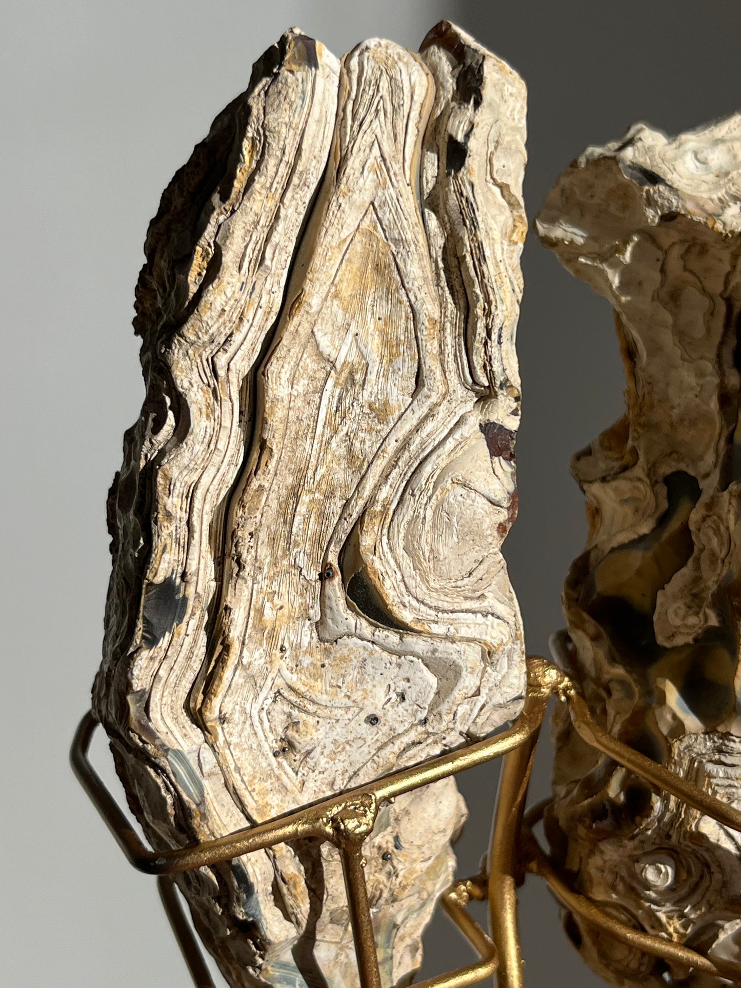 'Wings of Terra' West Indonesian Agate Butterfly Pair on Stand