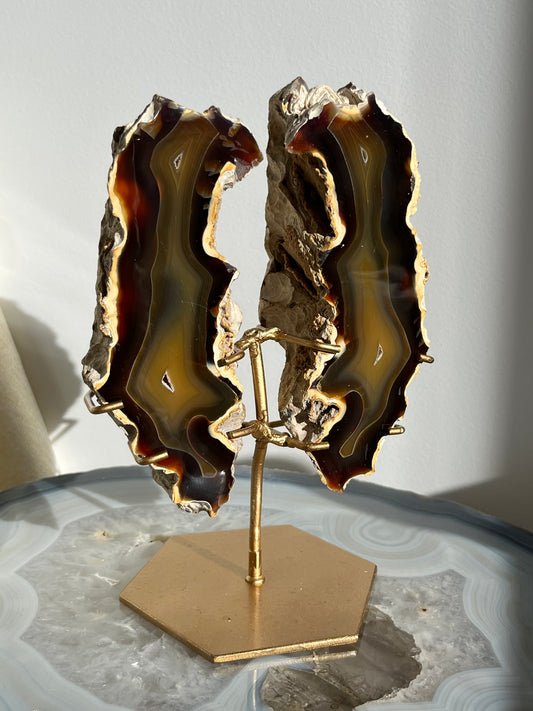 'Wings of Terra' West Indonesian Agate Butterfly Pair on Stand