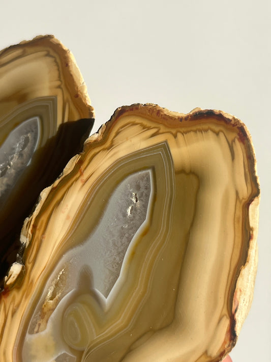 'Pastel Relics' West Indonesian Yellow Agate Pair B