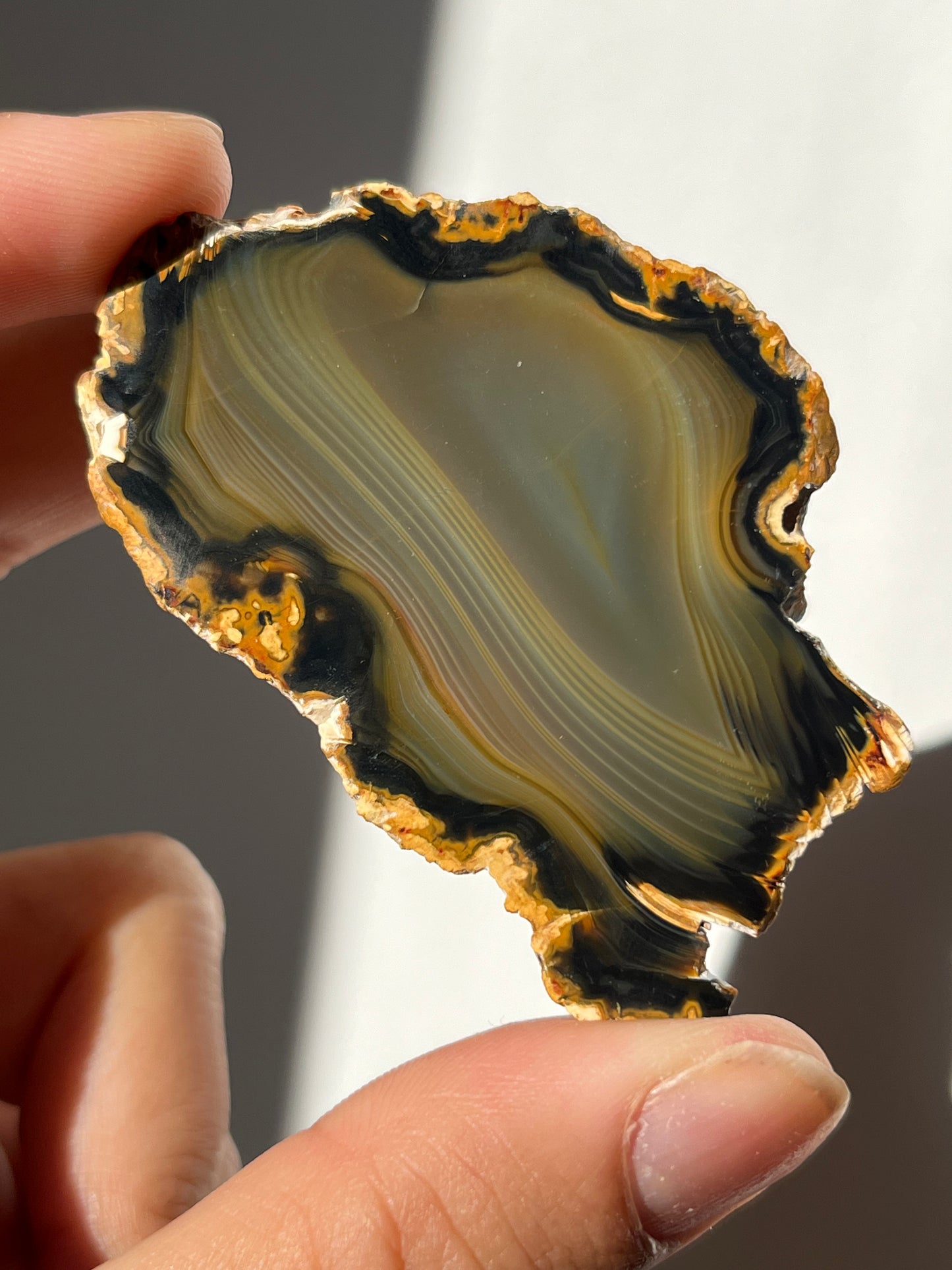 'Silken Midnight' West Indonesian River Agate Pair Q