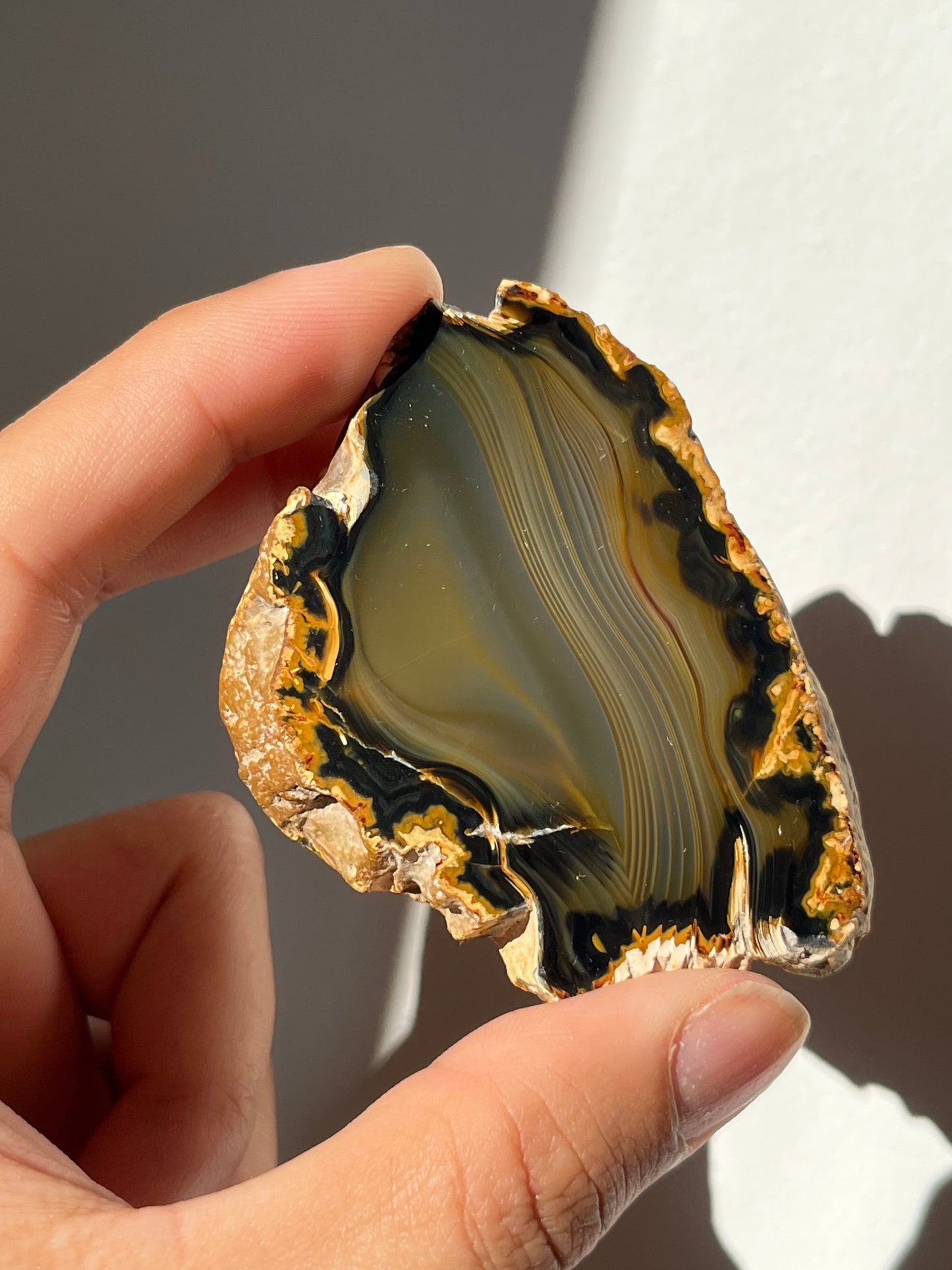 'Silken Midnight' West Indonesian River Agate Pair Q