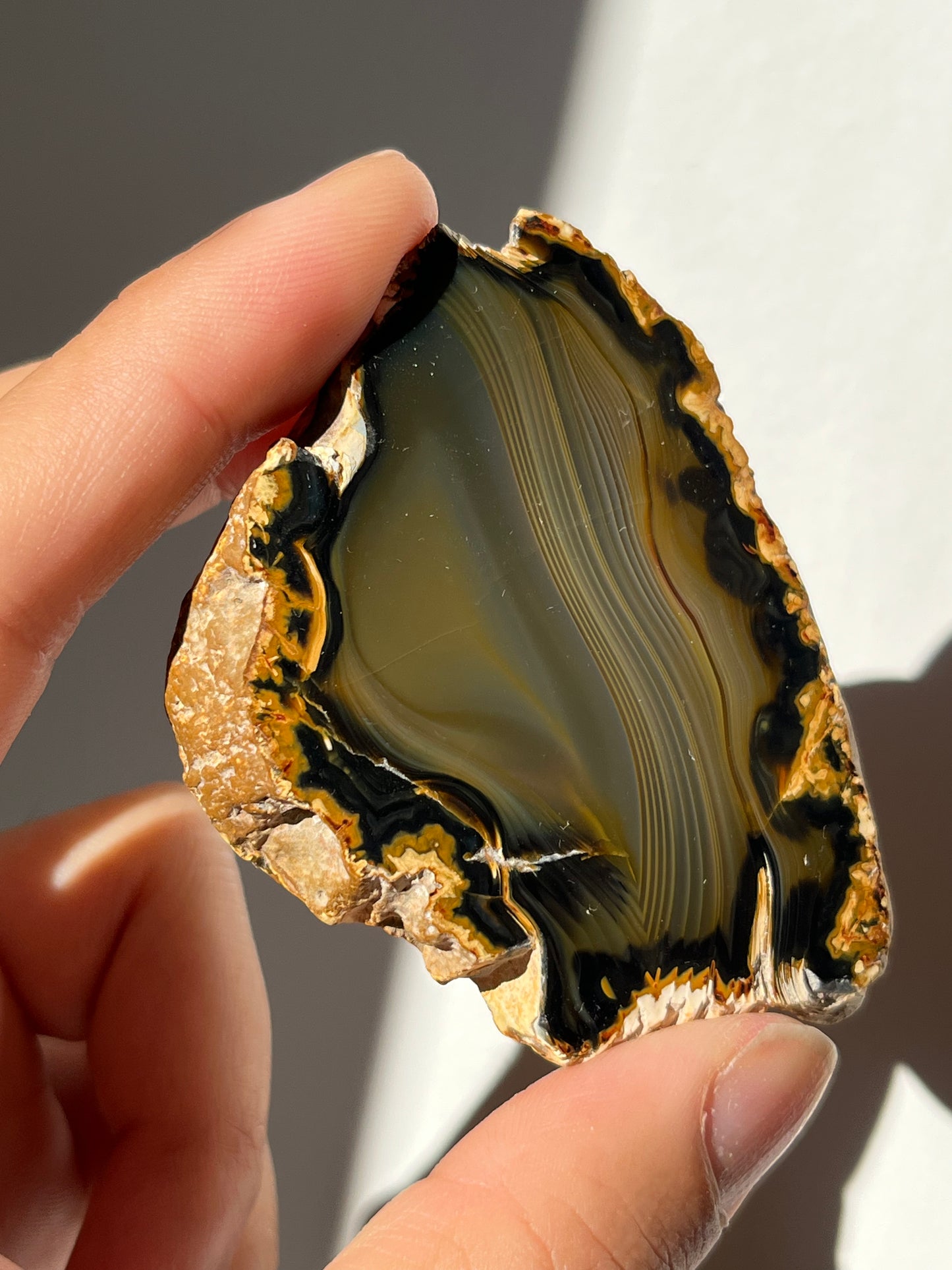 'Silken Midnight' West Indonesian River Agate Pair Q