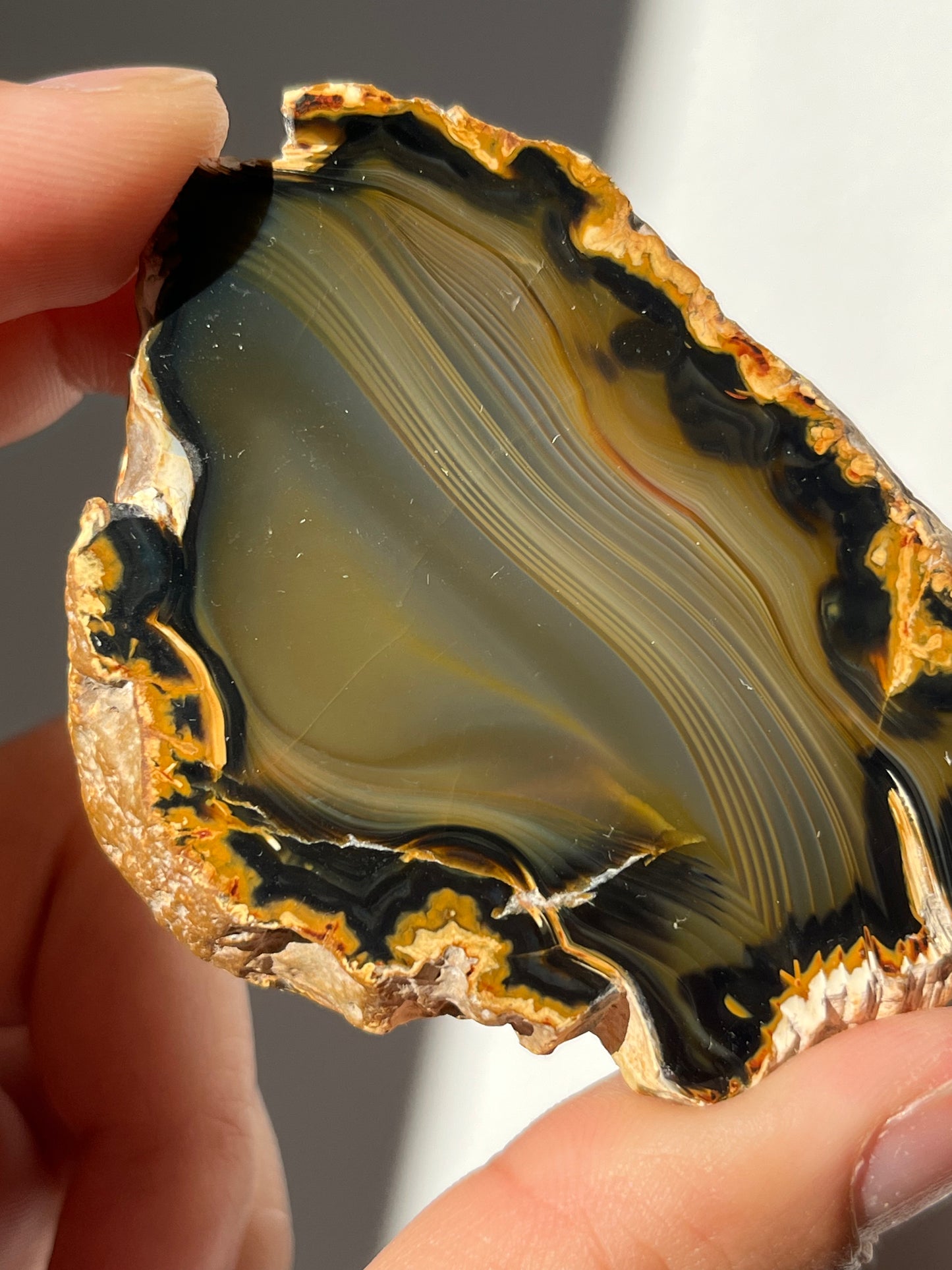 'Silken Midnight' West Indonesian River Agate Pair Q