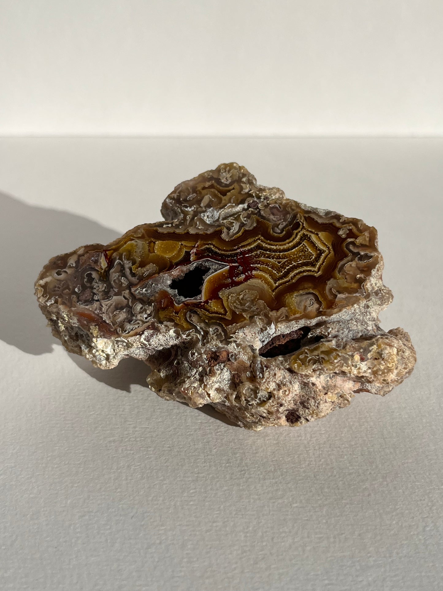 “The Artist’s Canvas” Yellow Laguna Agate with Starry Night Chalcedony Inclusions (ex. Sachdave S Collection)