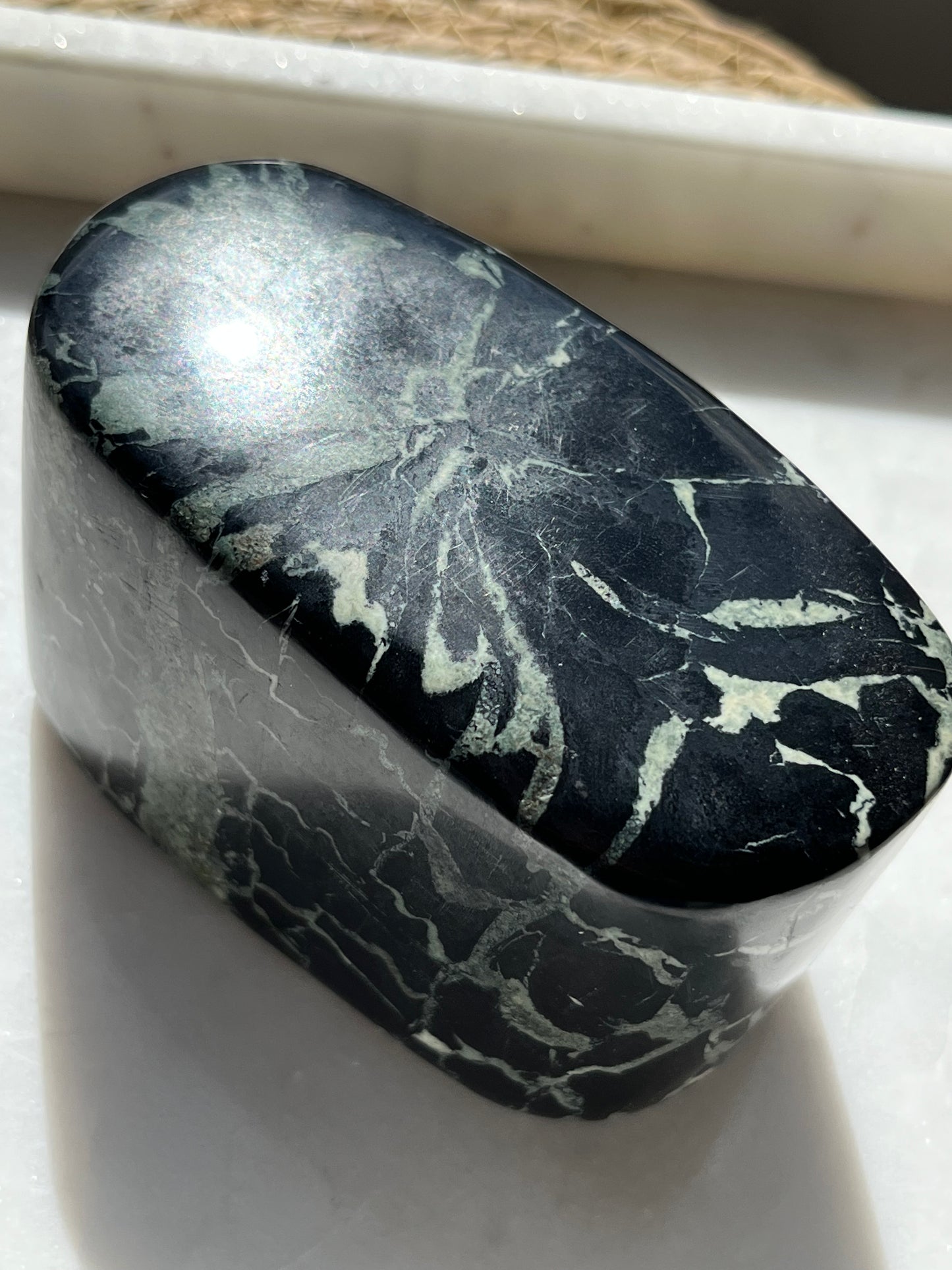 Black Larimar (Petrified Palm) Polished Freeform