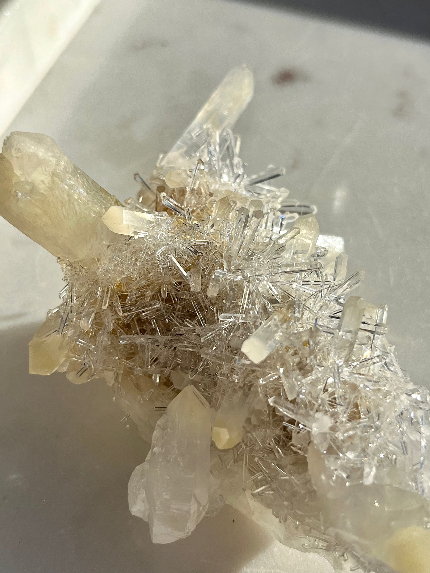 “Phantom Mirage” Mango Quartz Statement Cluster 02 (Cabinet Specimen)