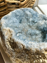 Load image into Gallery viewer, “Merisma” 5.77kg Cavernous Celestite Geode Specimen

