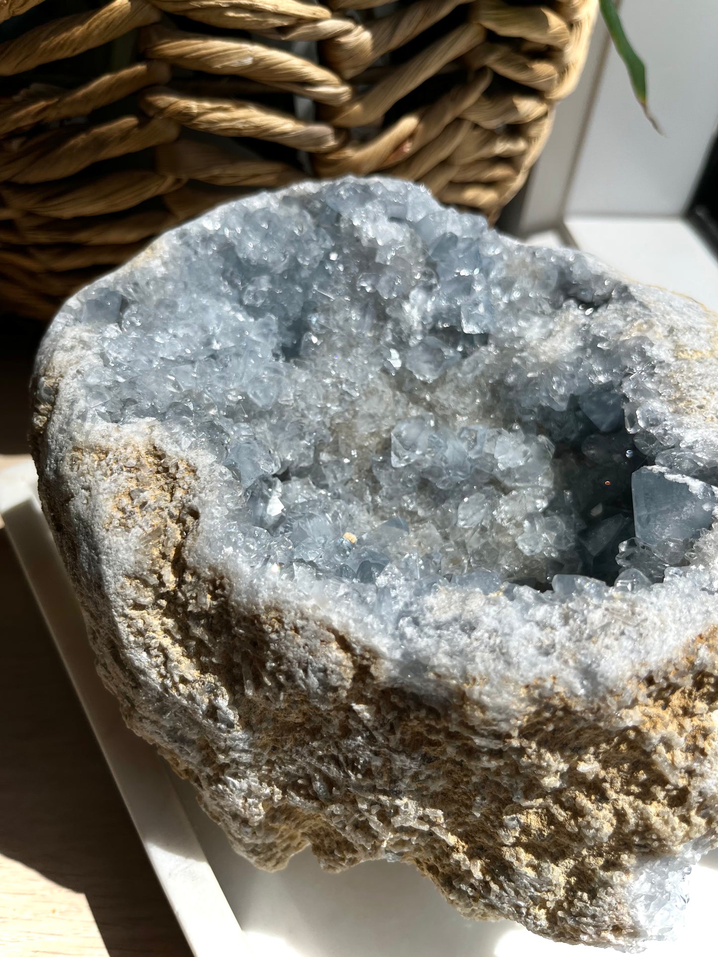 “Merisma” 5.77kg Cavernous Celestite Geode Specimen