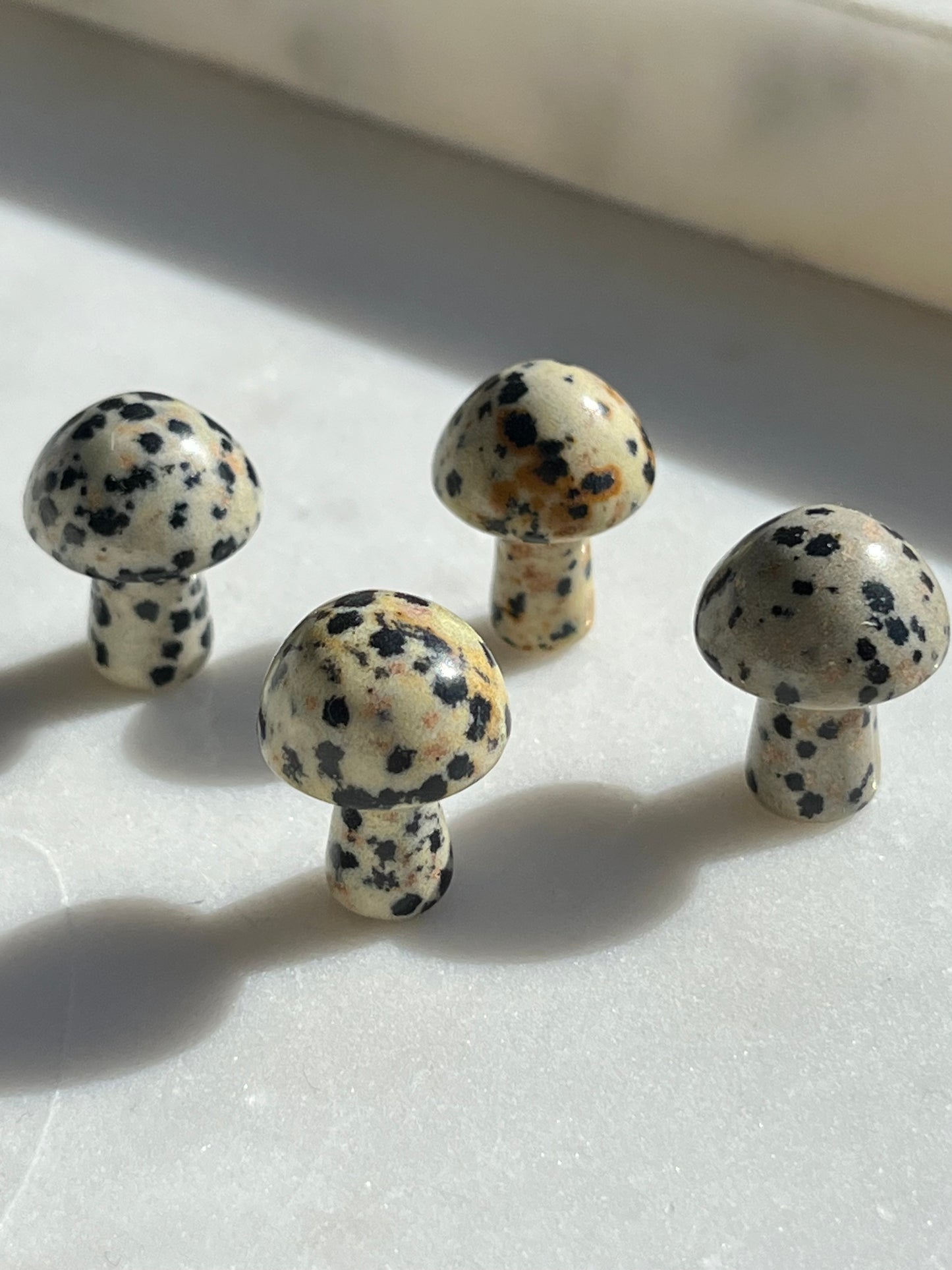 Dalmatian Jasper Mushroom Carving
