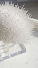 Load and play video in Gallery viewer, Mesolite Specimen #8
