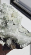 Load and play video in Gallery viewer, Green Apophyllite w/Stilbite &amp; Scolecite Sprays on Basalt Matrix Specimen #13
