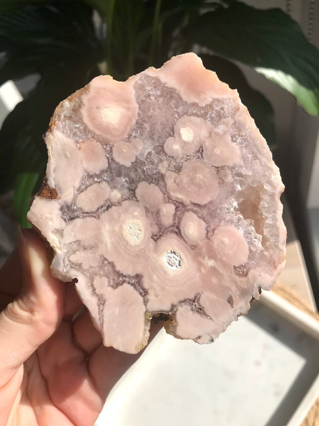 High Grade Pink Flower Agate in Quartz Slab 03