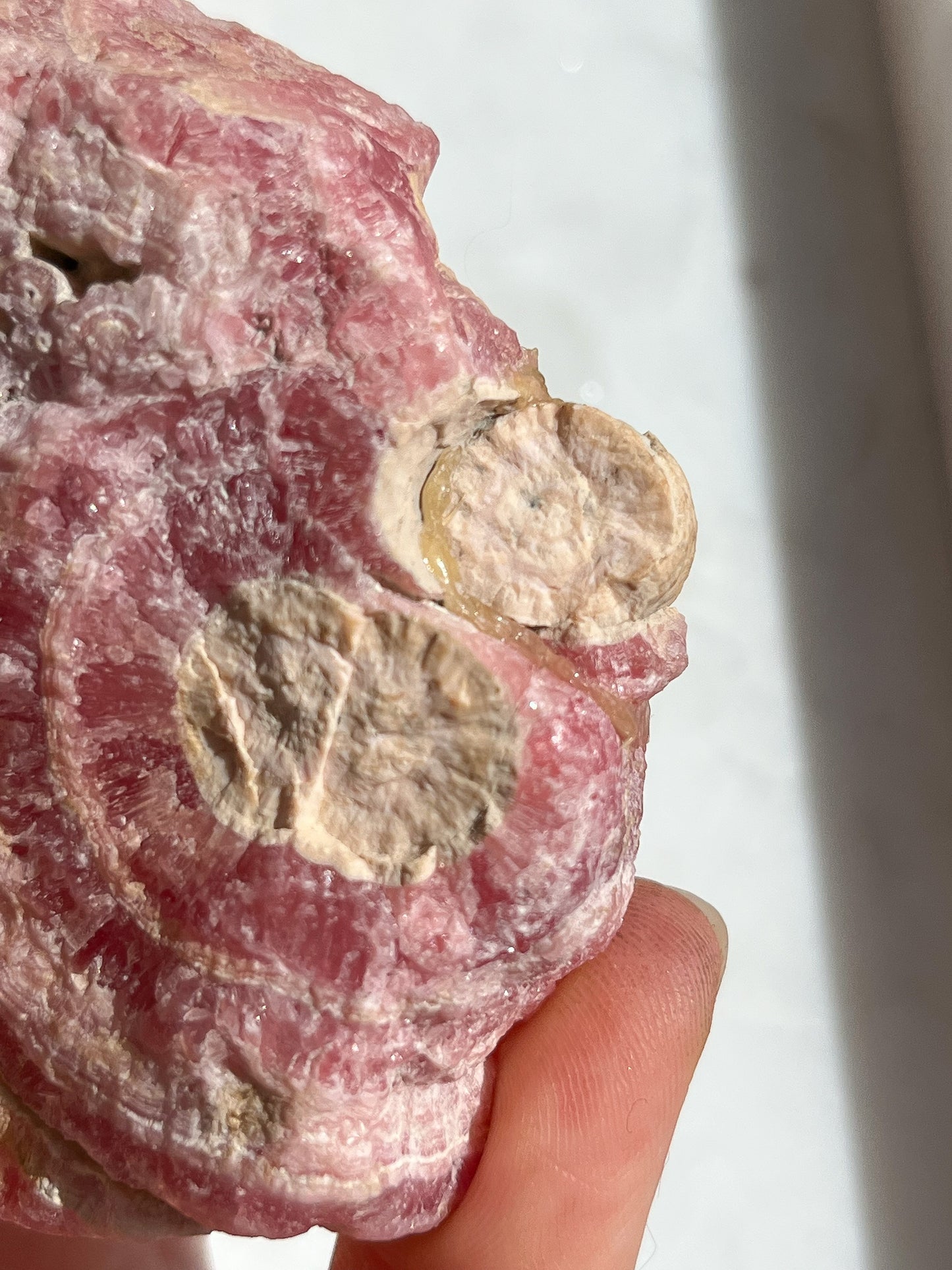 Rare 1980s Rhodochrosite “Butterfly” Stalactite Formation Slab Pair