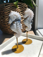 Load image into Gallery viewer, Dendritic White Plume Agate Seahorse Carving on Gold Metal Stand (You Choose)

