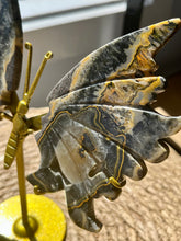 Load image into Gallery viewer, Bumblebee Jasper Butterfly Wings on Gold Stand #1
