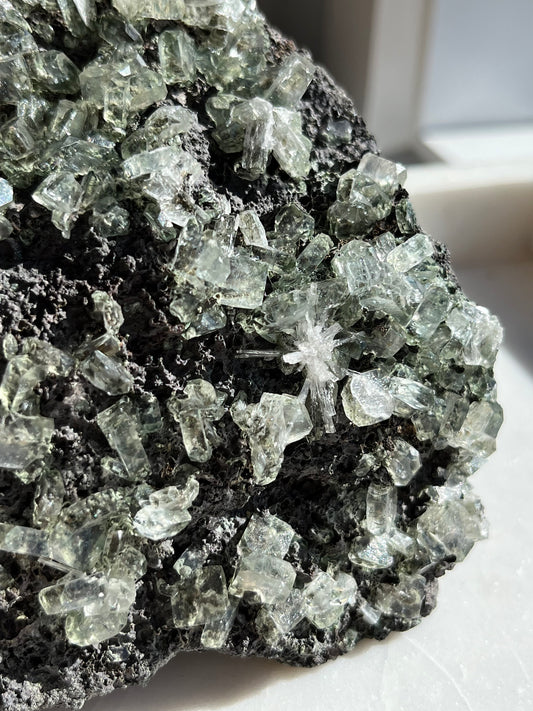 Green Apophyllite w/Scolecite Inclusions on Basalt Matrix Specimen #43