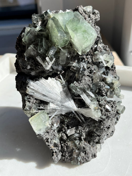 Green Apophyllite w/Scolecite Sprays on Basalt Matrix Specimen #29