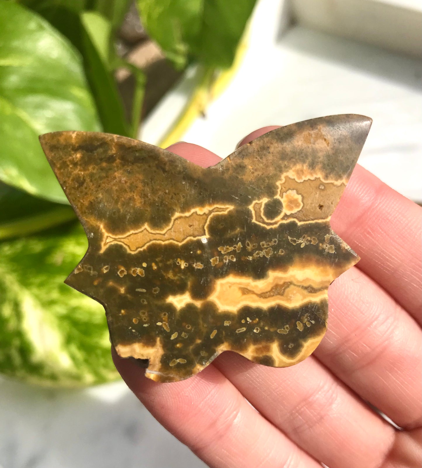 Spotted Orbicular Jasper Butterfly Carving 01
